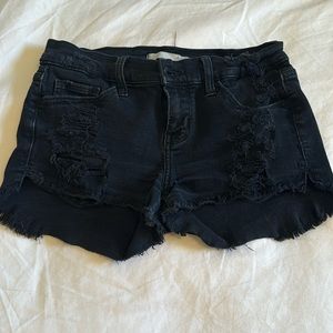 Daytrip shorts